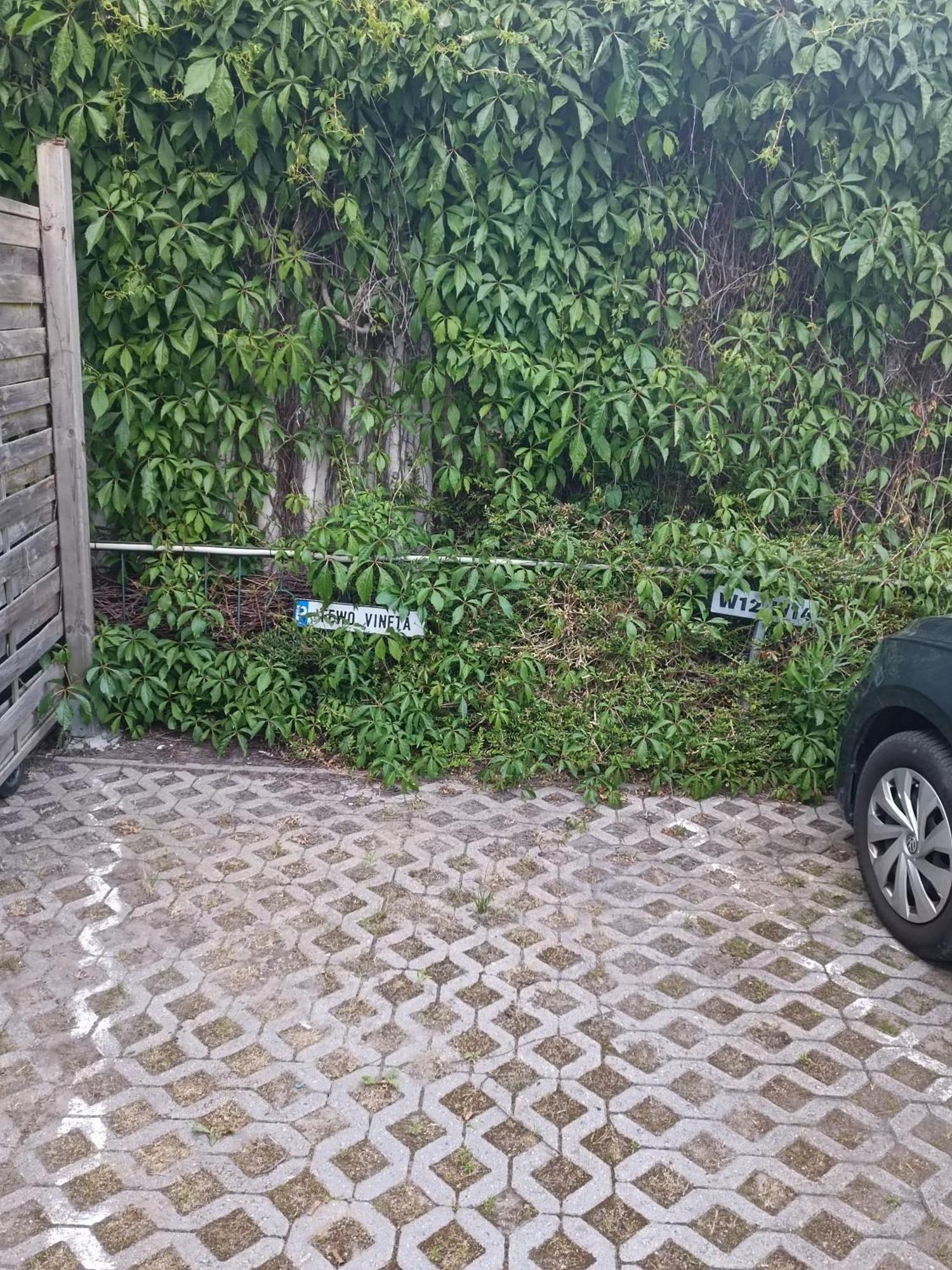 Fewo Vineta Barth Exterior foto